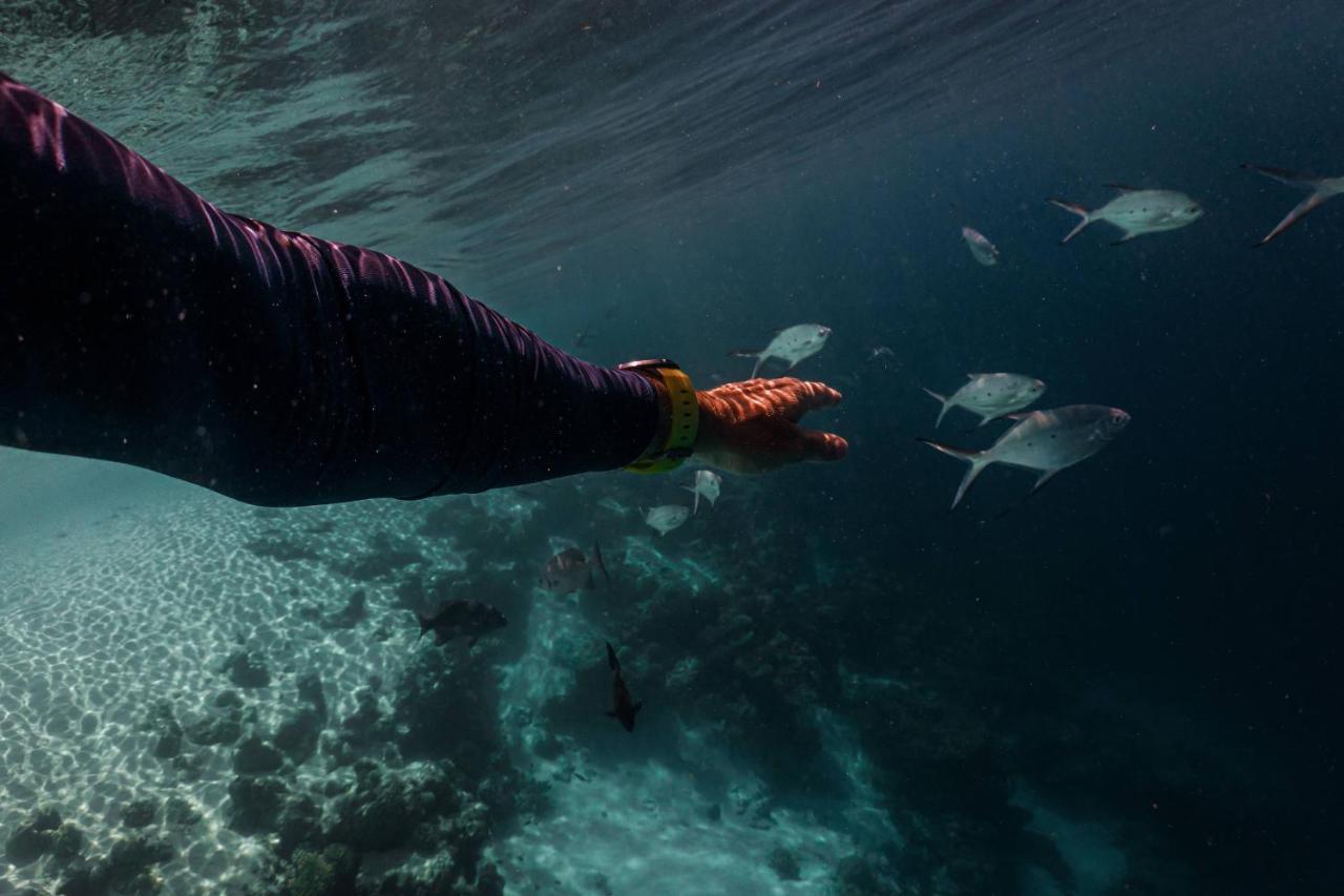 Sun Siyam Iru Veli - 24 Hours Premium All-Inclusive With Free Transfers Hulhudheli Esterno foto